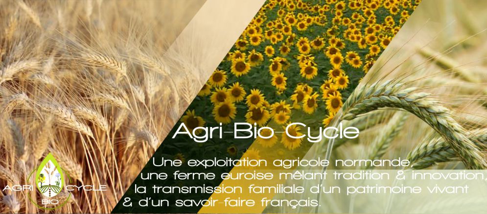Agri-bio-cycle, une exploitation agricole normande mêlant tradition et innovation.
