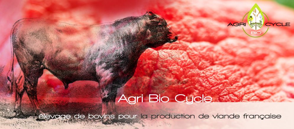Agri Bio cycle à etreville fait de l'élevage de bovins pour la production de viande française