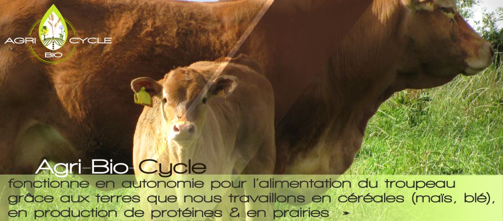 élevage de bovins avec Agri Bio cycle à etreville