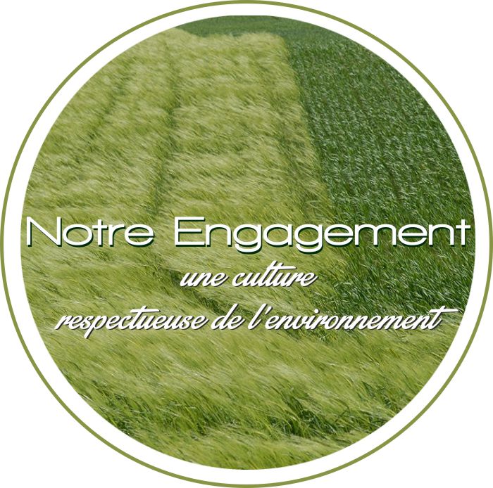 L'engagement d'Agri bio cycle pour une culture respectueuse de l'environnement
